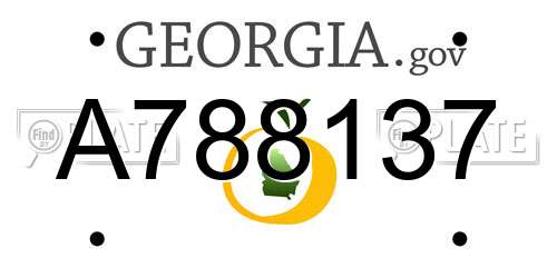 A788137 Georgia License Plate