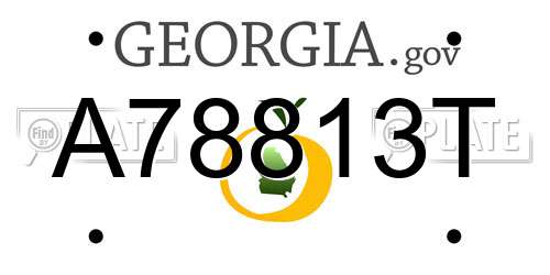 A78813T Georgia License Plate