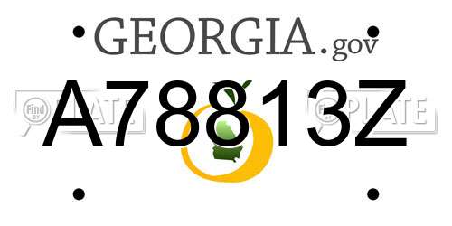 A78813Z Georgia License Plate