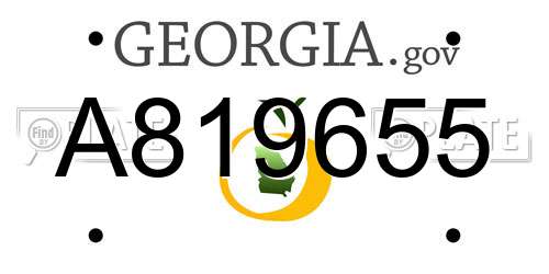 A819655 Georgia License Plate