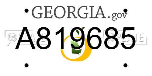 A819685 Georgia License Plate
