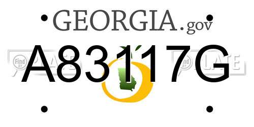 A83117G Georgia License Plate