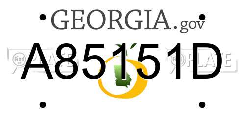 A85151D Georgia License Plate