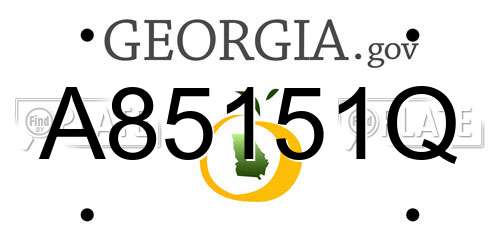A85151Q Georgia License Plate