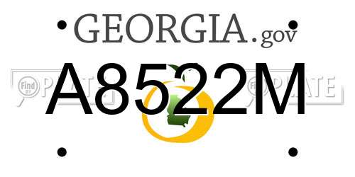 A8522M Georgia License Plate