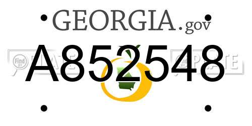 A852548 Georgia License Plate