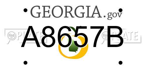 A8657B Georgia License Plate