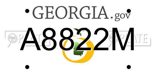 A8822M Georgia License Plate