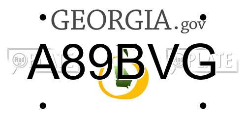 A89BVG Georgia License Plate