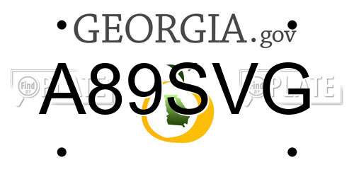 A89SVG Georgia License Plate