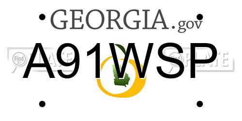 A91WSP Georgia License Plate