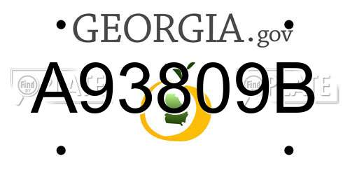 A93809B Georgia License Plate