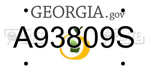 A93809S Georgia License Plate