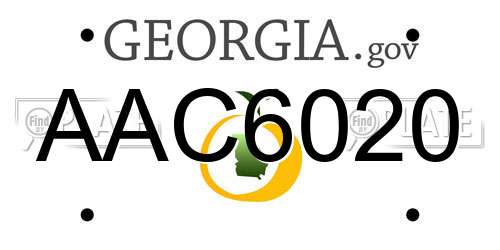AAC6020 Georgia License Plate
