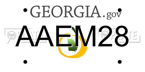 AAEM28 Georgia License Plate