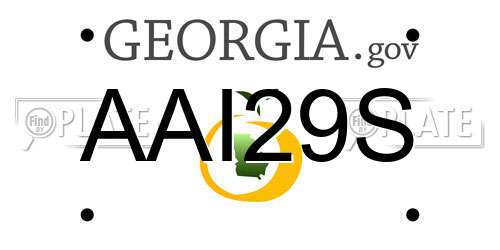 AAI29S Georgia License Plate