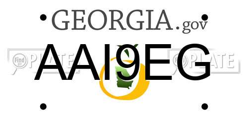 AAI9EG Georgia License Plate