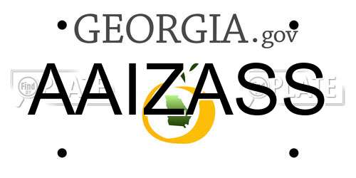 AAIZASS Georgia License Plate