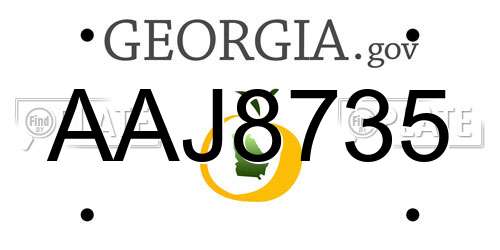 AAJ8735 Georgia License Plate