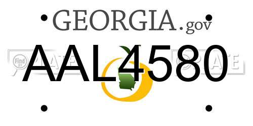 AAL4580 Georgia License Plate