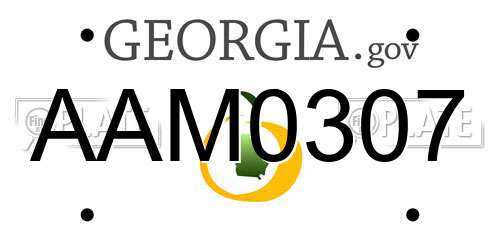 AAM0307 Georgia License Plate