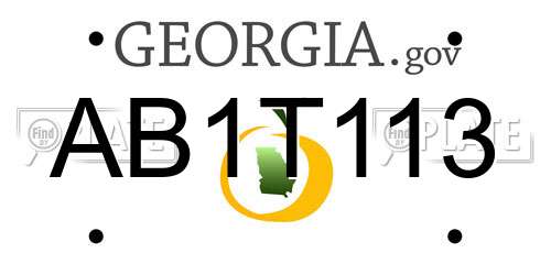 AB1T113 Georgia License Plate