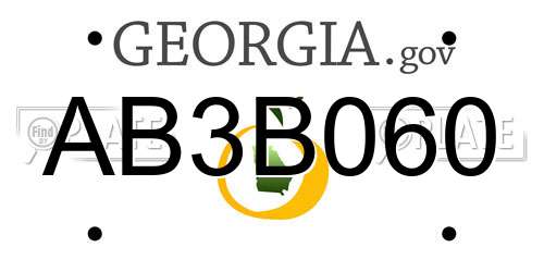 AB3B060 Georgia License Plate