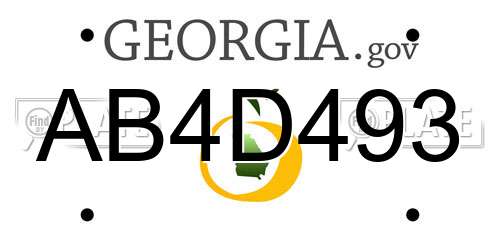 AB4D493 Georgia License Plate