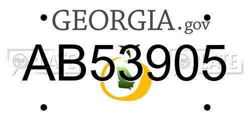 AB53905 Georgia License Plate