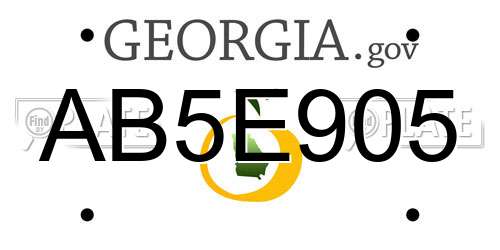 AB5E905 Georgia License Plate