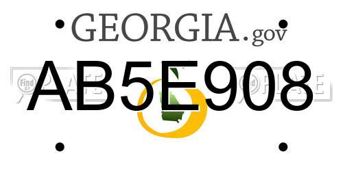 AB5E908 Georgia License Plate