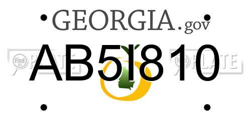 AB5I810 Georgia License Plate