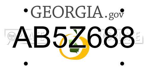 AB5Z688 Georgia License Plate