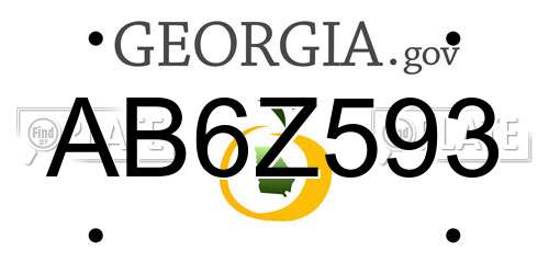 AB6Z593 Georgia License Plate