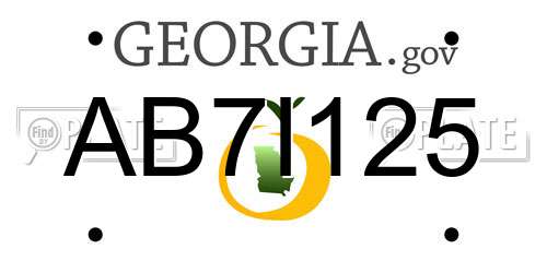 AB7I125 Georgia License Plate