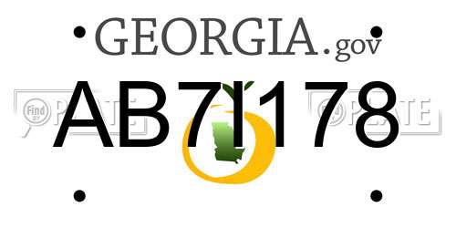 AB7I178 Georgia License Plate