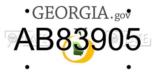 AB83905 Georgia License Plate