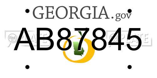 AB87845 Georgia License Plate