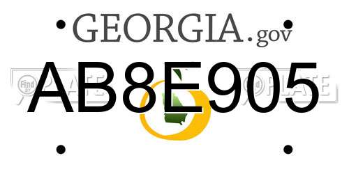AB8E905 Georgia License Plate