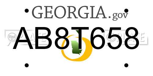 AB8T658 Georgia License Plate