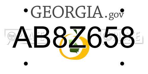 AB8Z658 Georgia License Plate