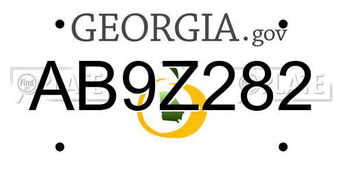 AB9Z282 Georgia License Plate
