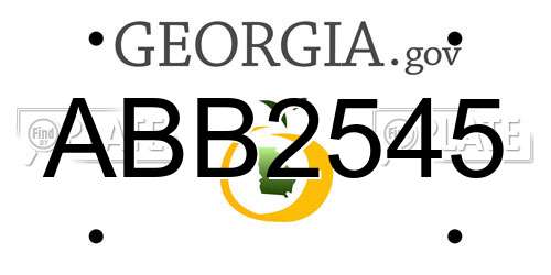 ABB2545 Georgia License Plate