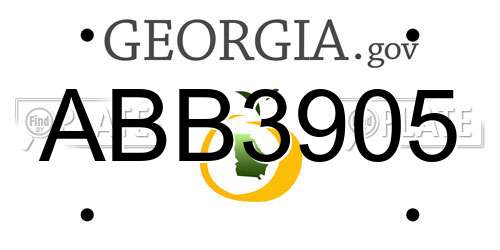 ABB3905 Georgia License Plate