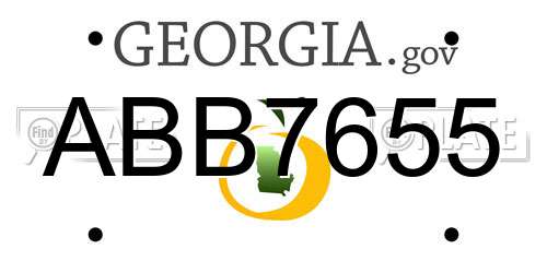 ABB7655 Georgia License Plate