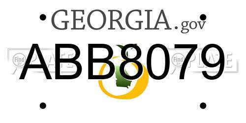 ABB8079 Georgia License Plate