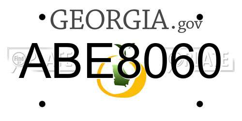 ABE8060 Georgia License Plate