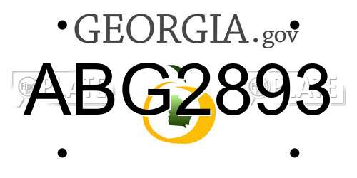 ABG2893 Georgia License Plate