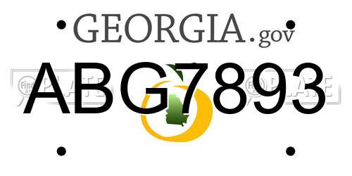 ABG7893 Georgia License Plate