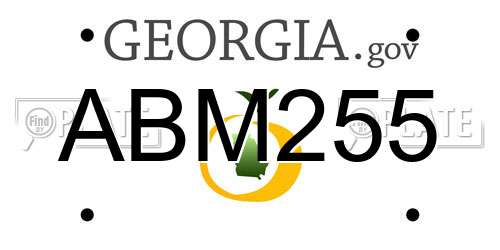 ABM255 Georgia License Plate